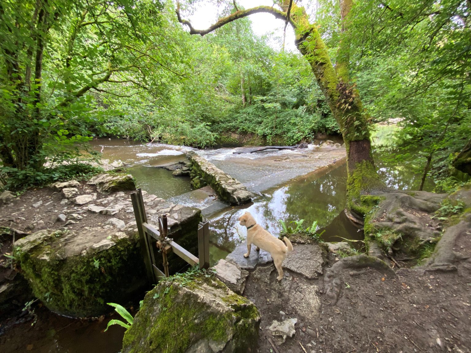 walking-and-hiking-trails-discover-newton-abbot