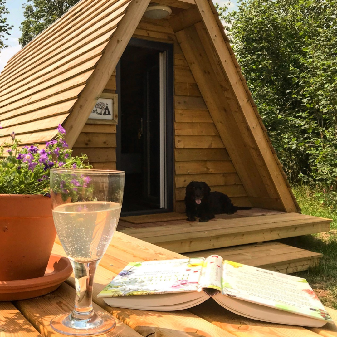 The Hen's Dens at Orchard Organic Farm