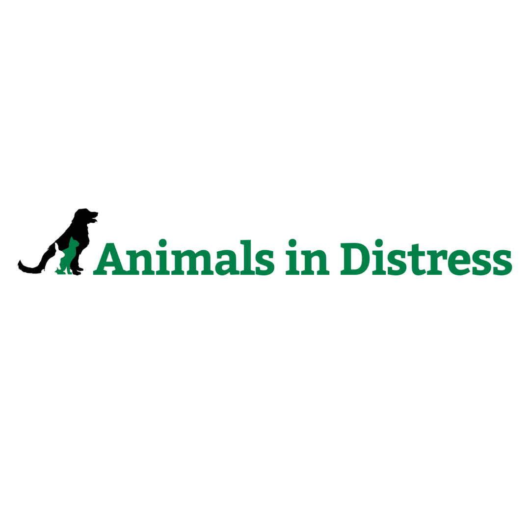 Animals In Distress